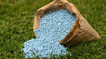 انخفاض أسعار الأسمدة اليوم يعيد التوازن لتكاليف الإنتاج الزراعي 1